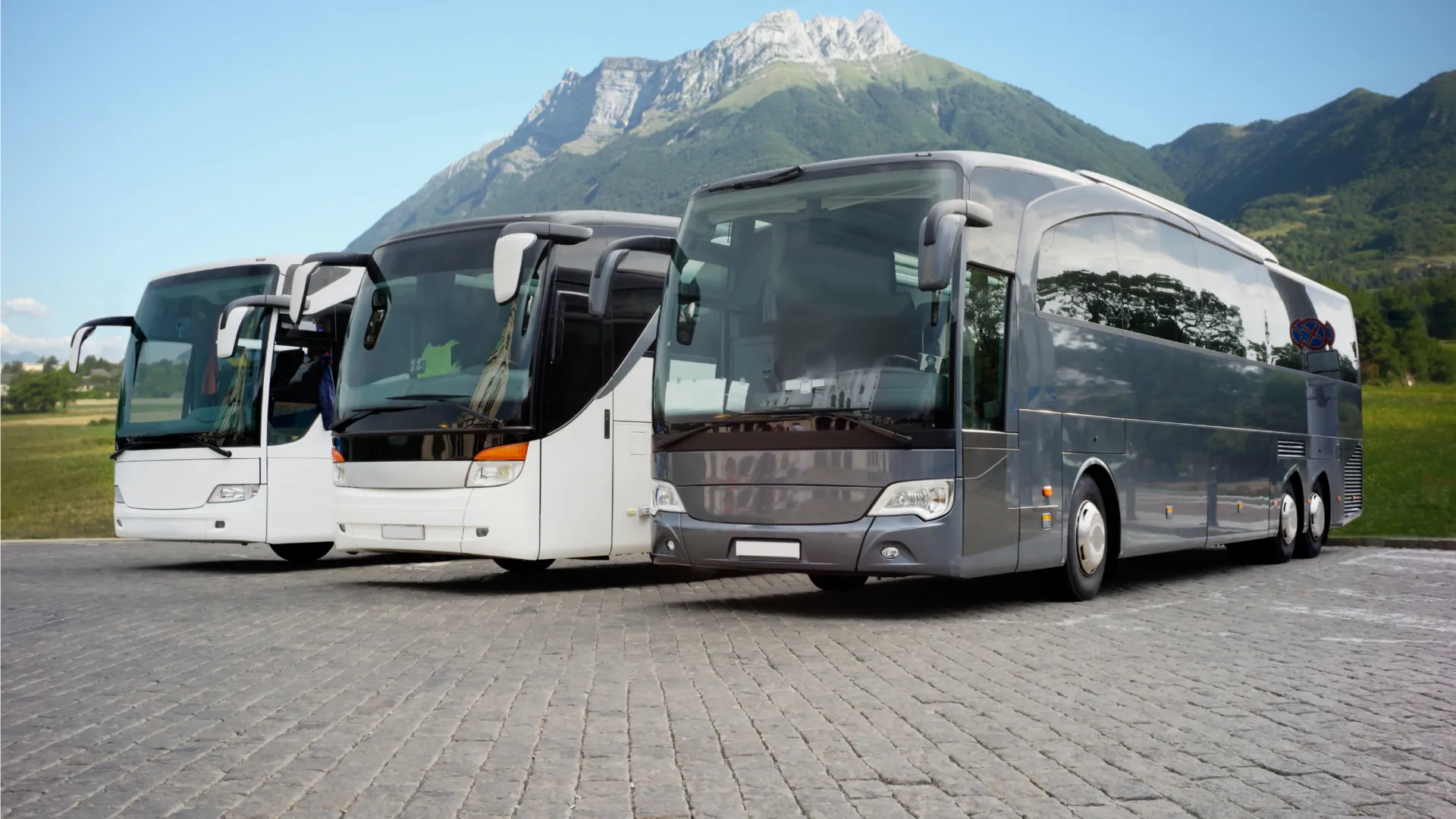Charter bus fleet ready for group transportation